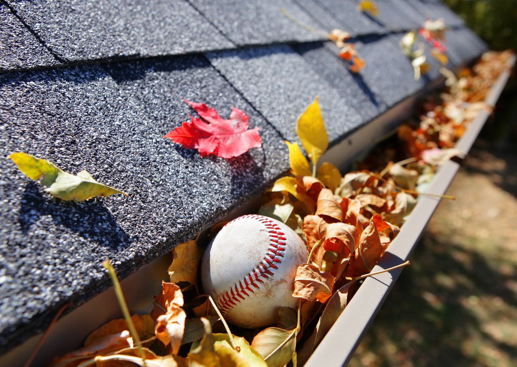 FALL HOME MAINTENANCE TIPS