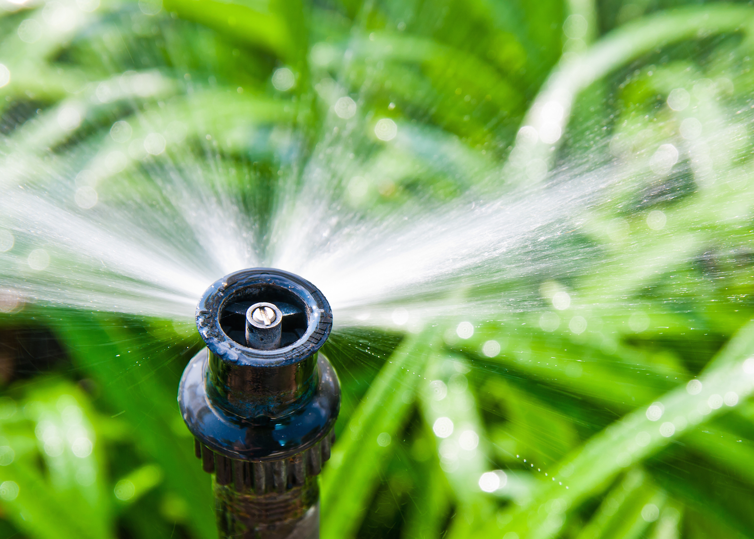 How to reduce lawn & garden water consumption