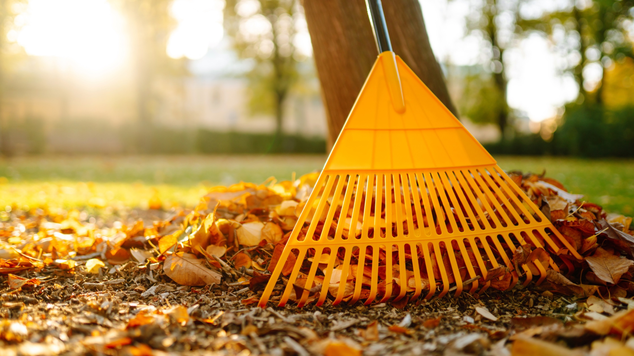 Smart fall home maintenance tips most people miss