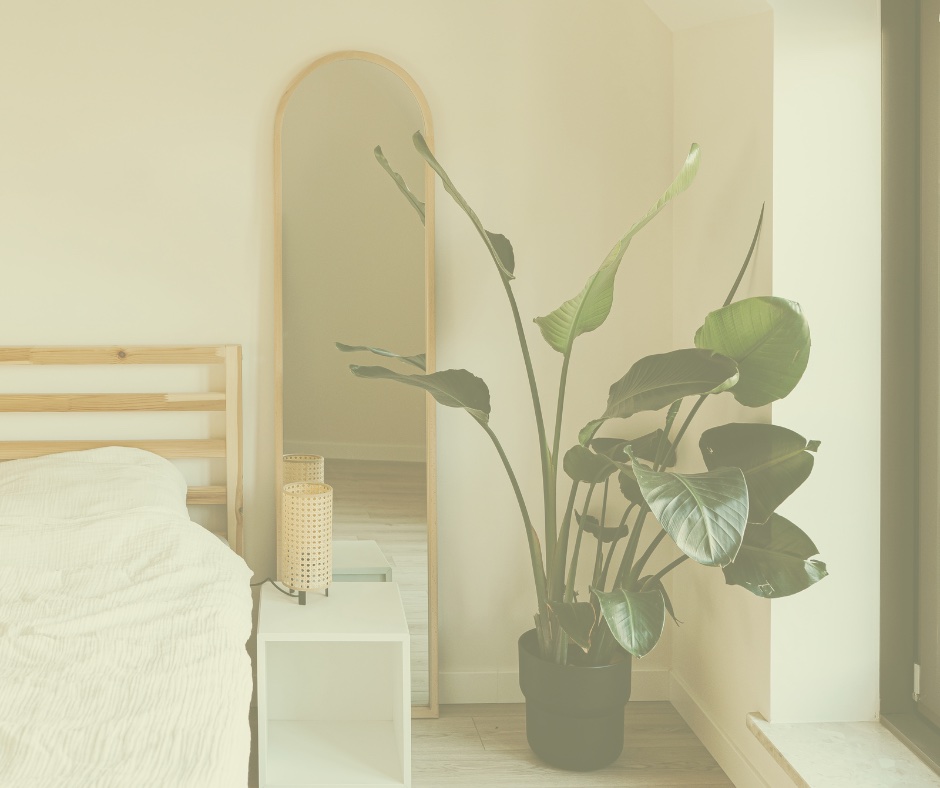 6 simple tips to bring the outdoors in!