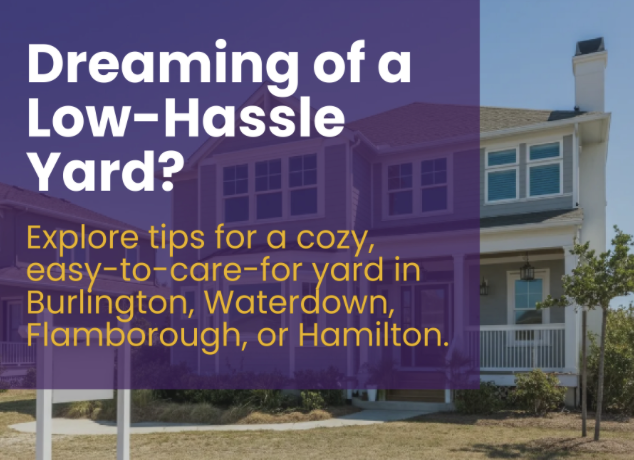Dreaming of a low-hassle yard
